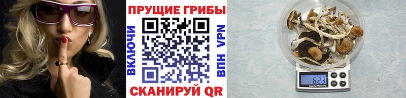 Псилоцибиновые грибы MAGIC MUSHROOMS  Усть-Джегута 